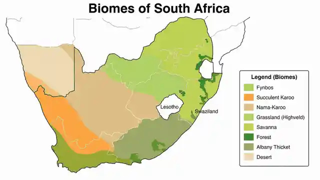 Biomes of South Africa