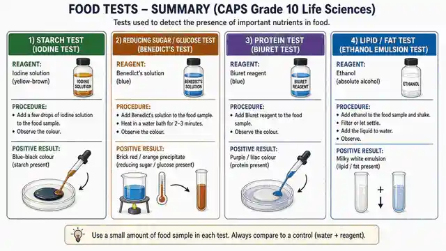 Food tests