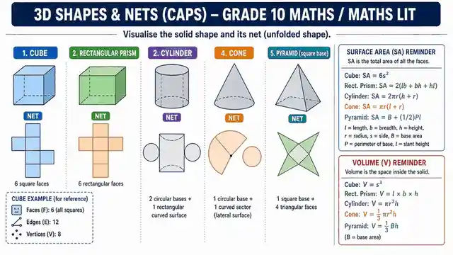 3D shapes and nets