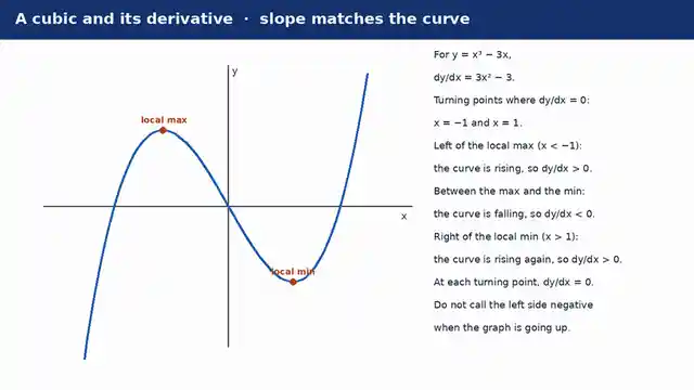 The cubic function and its derivative