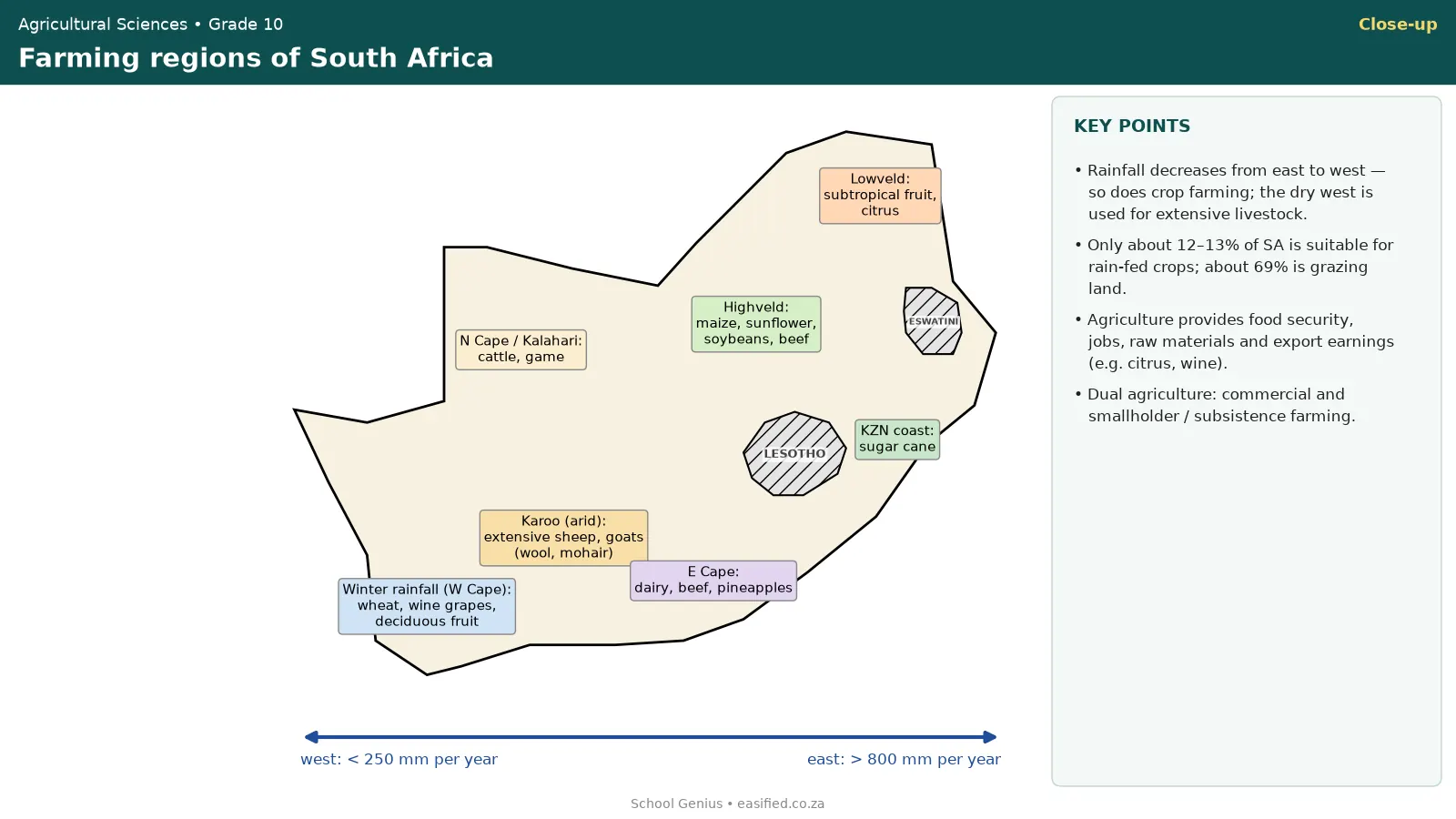 Simplified map of South African farming regions and rainfall gradient