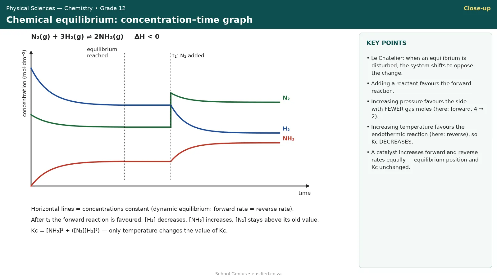 Concentration-time graph for the Haber equilibrium with nitrogen added at t1