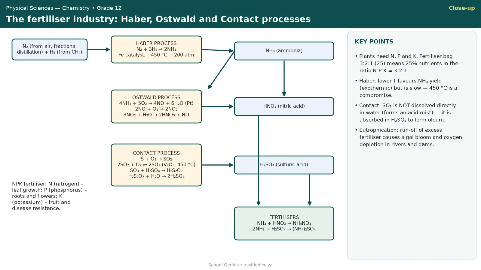 Flow diagram linking the Haber, Ostwald and Contact processes to fertilisers