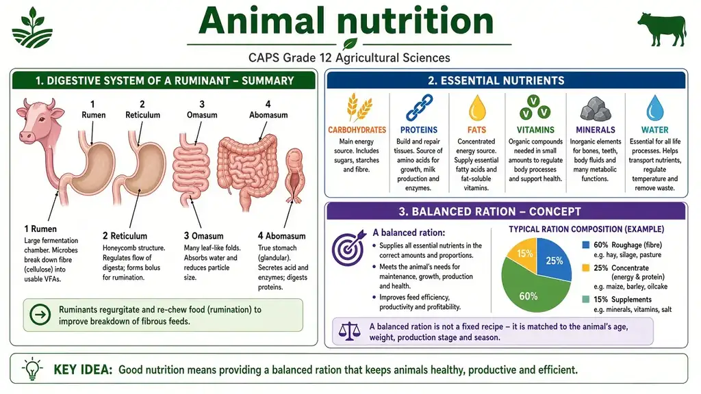 Animal nutrition