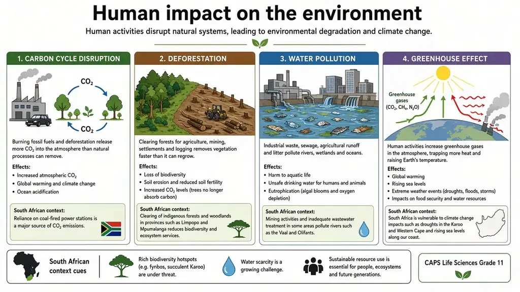 Human impact on the environment
