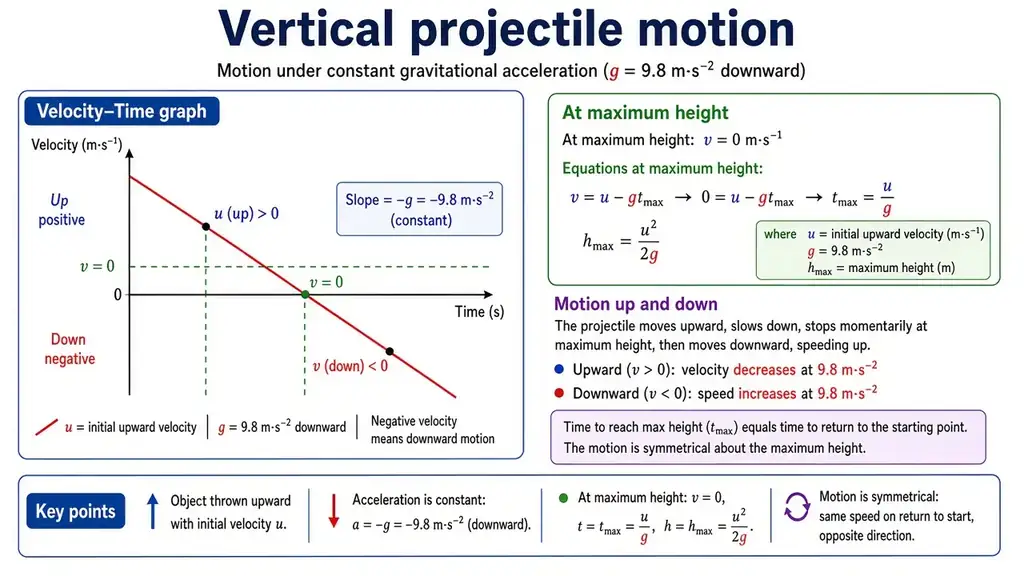 Vertical projectile motion